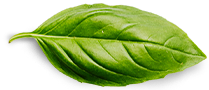 leaf home